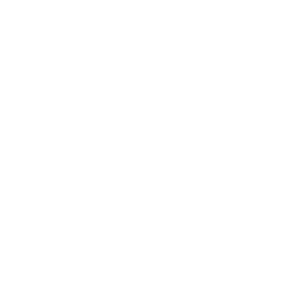 phudong-skyone-white-logo
